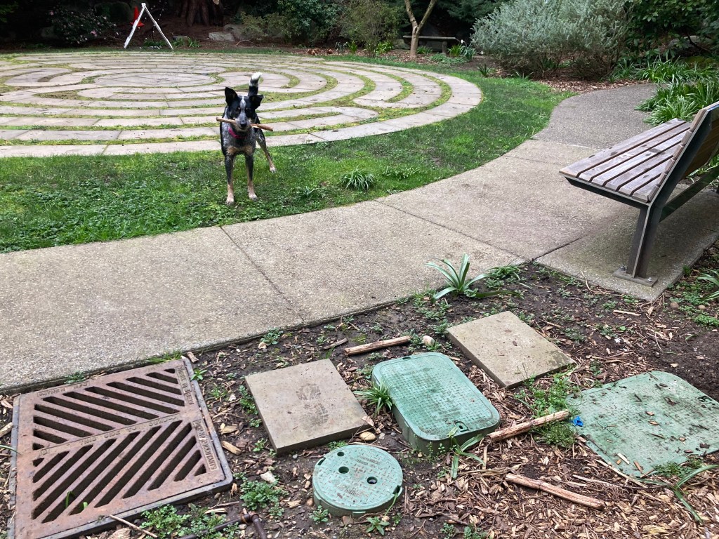 No balls to 4&nbsp;balls